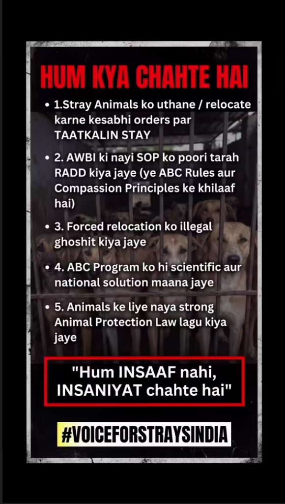 R93134005's tweet photo. #VoiceForStraysIndia Har Har Mahadev 🙏❤️ #VoiceForStraysIndia #VoiceForStraysIndia #VoiceForStraysIndia #VoiceForStraysIndia #VoiceForStraysIndia #VoiceForStraysIndia #VoiceForStraysIndia #VoiceForStraysIndia #VoiceForStraysIndia #VoiceForStraysIndia #VoiceForStraysIndia https://t.co/otzi3BnE0a