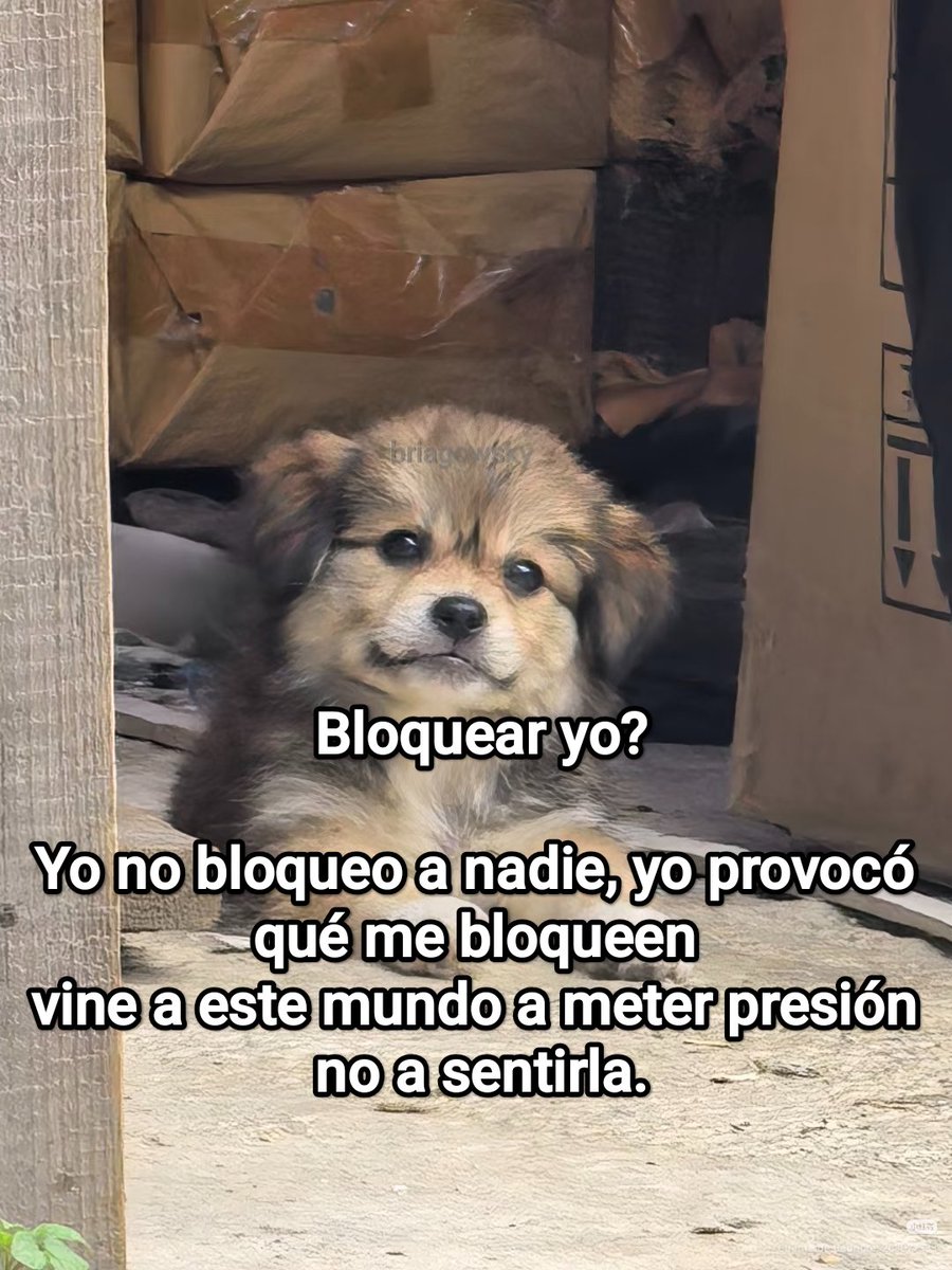 Y a veces ni lo provoco, pero bueno