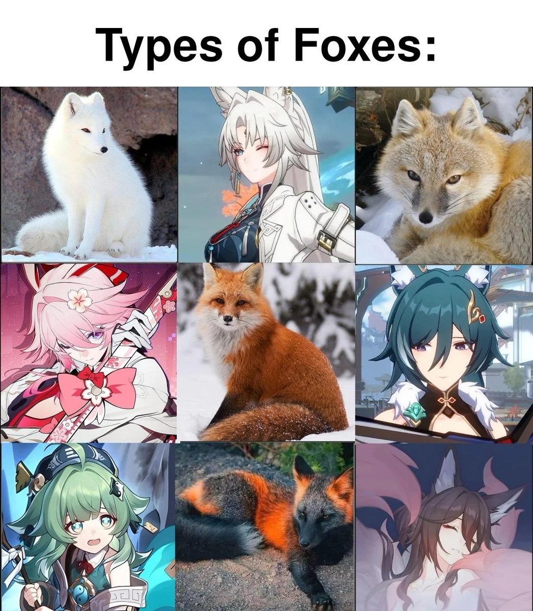 AriLegendary 🏳️⚧️🇺🇦 tweet media