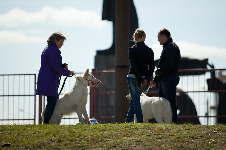 🐕 Colegios de Médicos Veterinarios de Nueva Esparta y Anzoátegui, alertan sobre incremento de casos de Distemper canino (moquillo) y Parvovirus, se ha creado alarma en los tutores o dueños de mascotas. informe21.com/post/veterinar…

#SaludPública