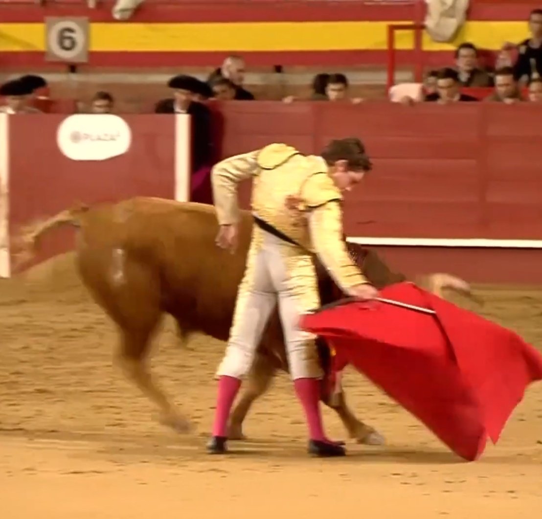 Seisyelsobrero tweet media