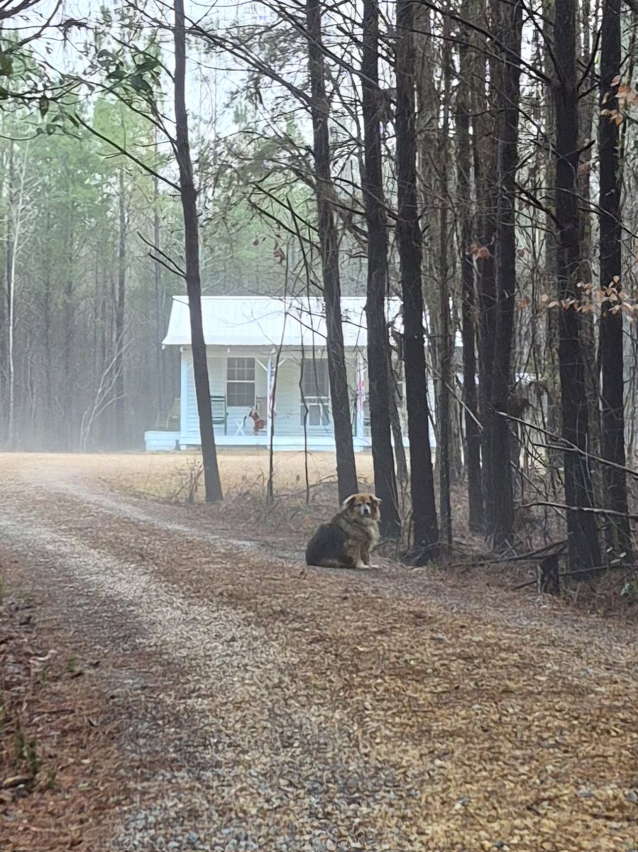 When I'm gone I know she's sitting there waiting for me.  I always come back.

I wonder if she knows her biggest fear is also mine