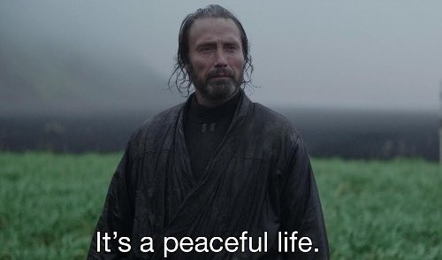 Arron Automata 🤖 tweet media