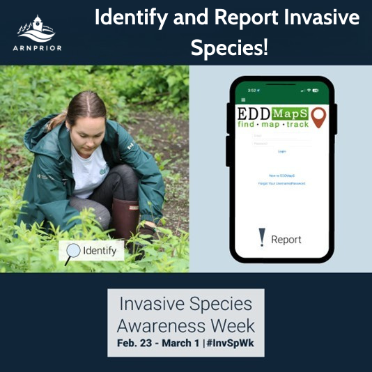 arnprior's tweet photo. See an invasive species? Report it today! Your efforts make a big difference in preserving natural landscapes, the economy, human health, and more. #InvSpWk
●https://t.co/ZWHF2R6T2u
●https://t.co/mzDc0txQRX
●https://t.co/niTl9OtZ7t
●https://t.co/3DbNgdEChL https://t.co/UEkQWMe0nf
