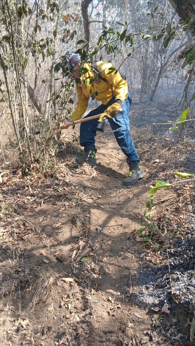 ConredGuatemala's tweet photo. #Sacatepéquez Incendio registrado en aldea El Guayabal, Antigua Guatemala fue controlado a un 85% y liquidado a un 65% por personal municipal, de @ASONBOMDGT, #Alerta3, #APROBOM, @BVoluntariosGT y la Brigada de Respuesta Inmediata (BRI).
Fotografías: Sistema CONRED. https://t.co/B9037GIK7U