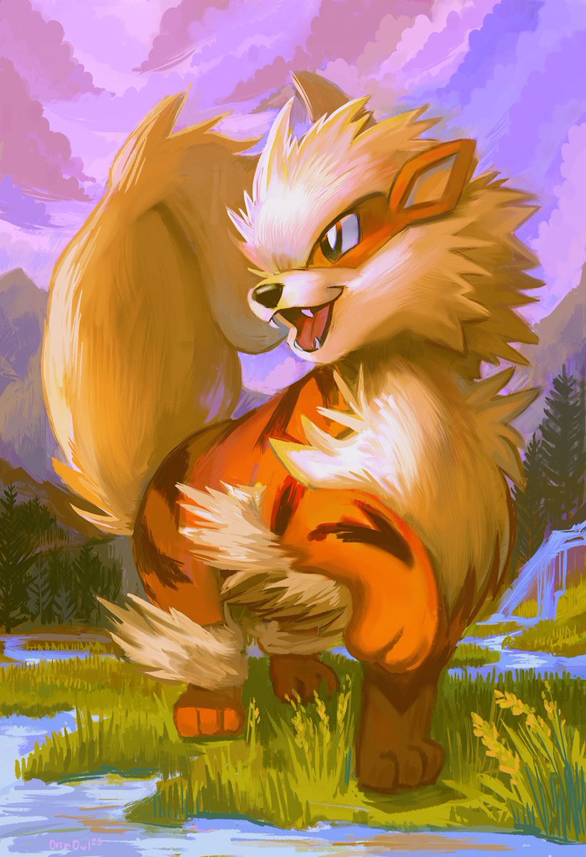 Orca Owl tweet media