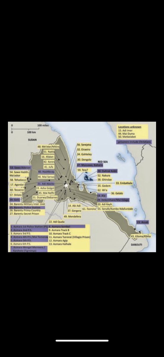 Mercy ✨💙 🩵🌿 tweet media