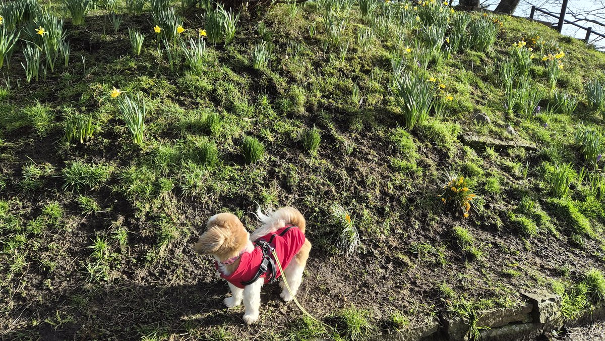 Bella🇬🇧 tweet media