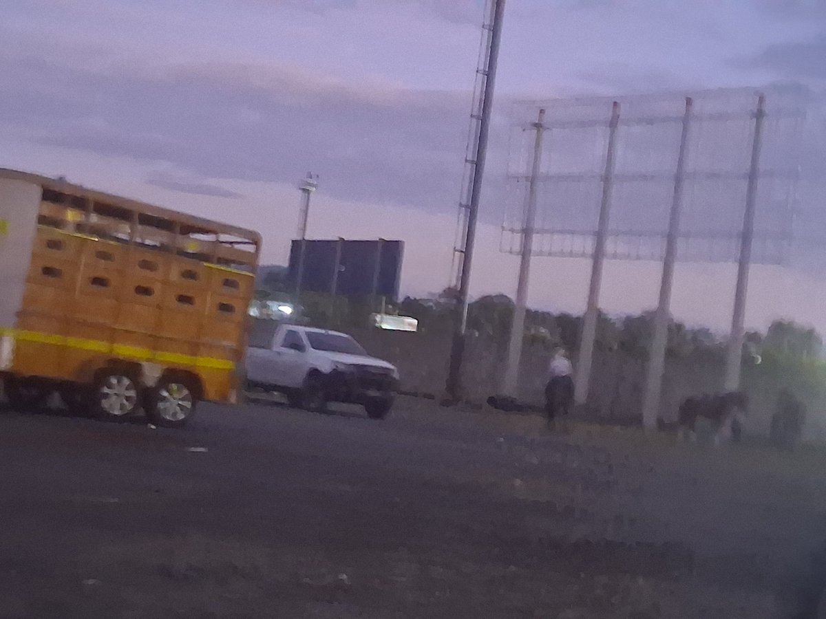 Mennysanchez's tweet photo. POLIDEPORTIVO DE LA PRIVADA, BONAO, donde esta tarde llevaron caballos a correr y a hacer sus necesidades, sin tomar en cuenta que habían niños y adolescentes practicando futbol y volando chichiguas. https://t.co/rnFpCBTkxk