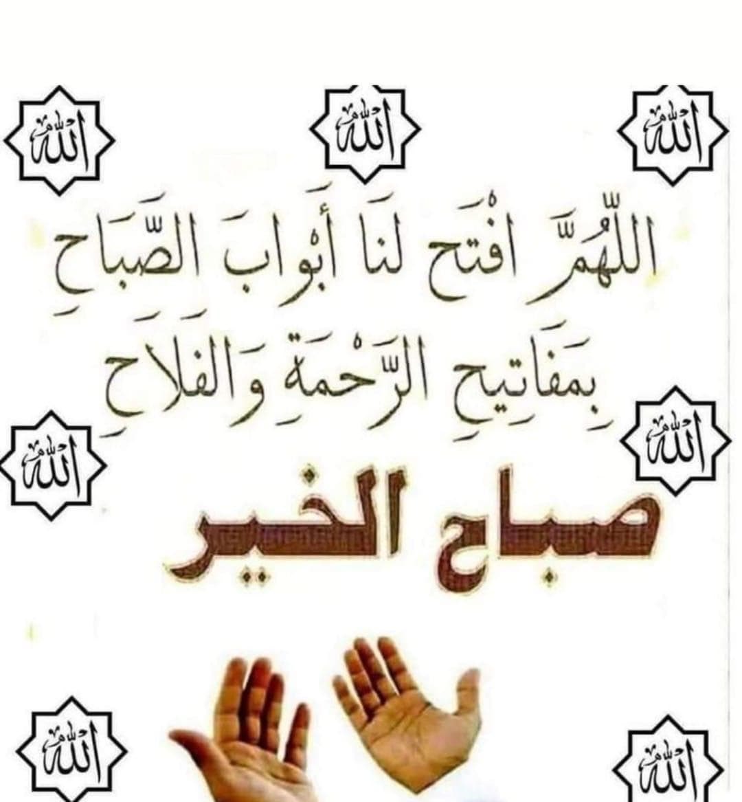 1399Alih's tweet photo. 🌴🌴صباح الخير🌴🌴 https://t.co/MGkGiXJBxj