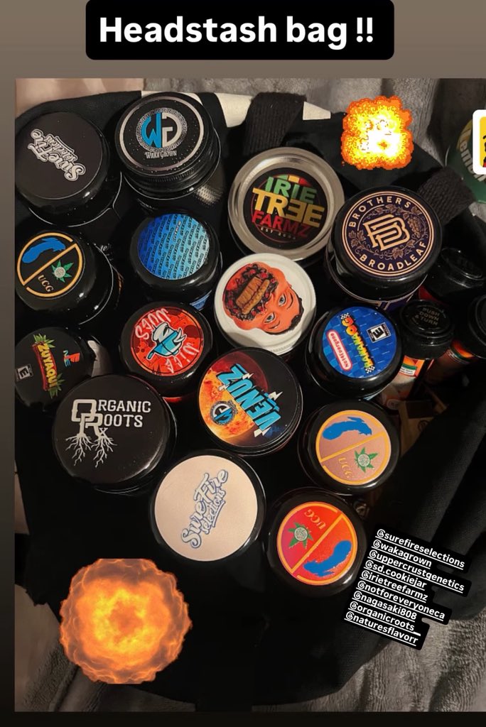 Maple Reserve / Exotic Prince of NY tweet media