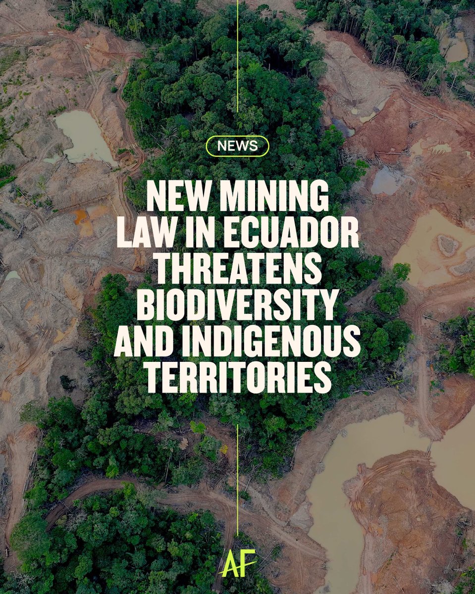 AFrontlines tweet media