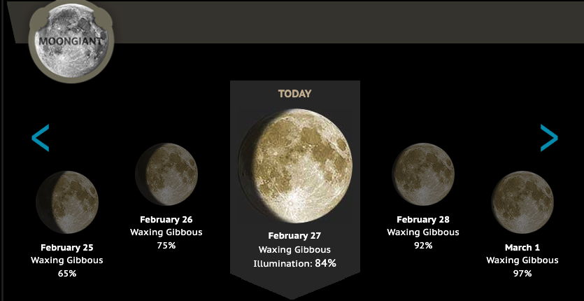 Tyler Rogoway tweet media