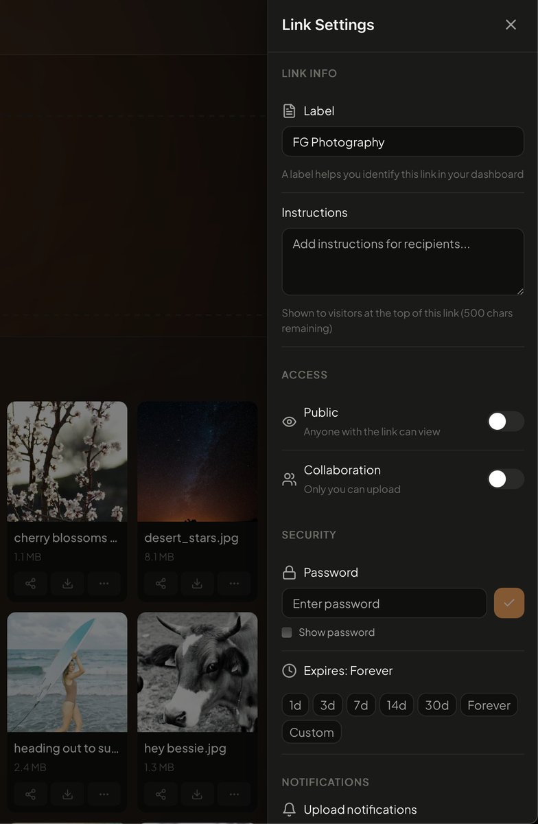 FileGrabLink tweet media