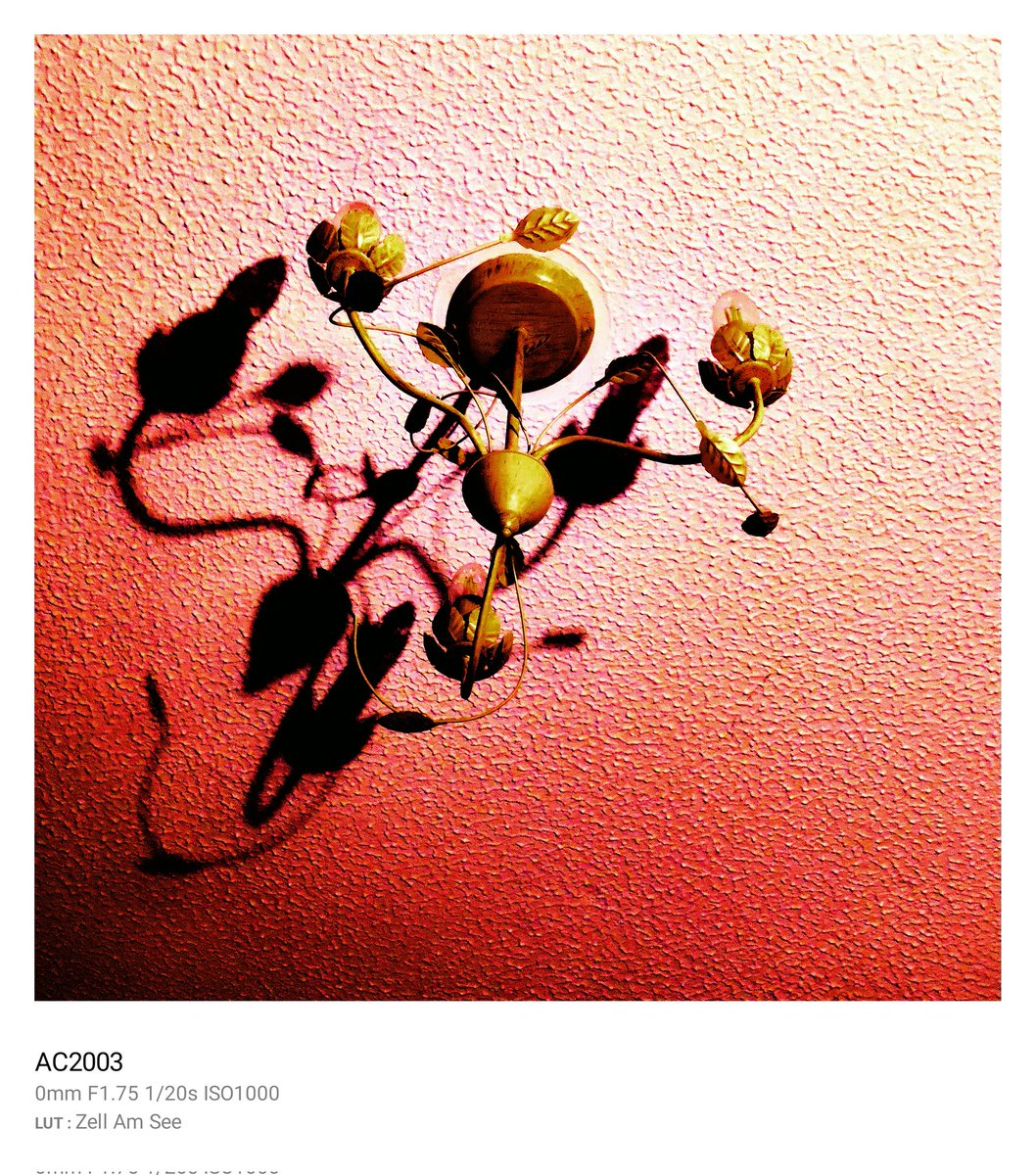 kevinhealyphot1's tweet image. Trying to take more random pics. I always find them interesting when I see them. #ceilinglight #pic #phonepic #oneplus