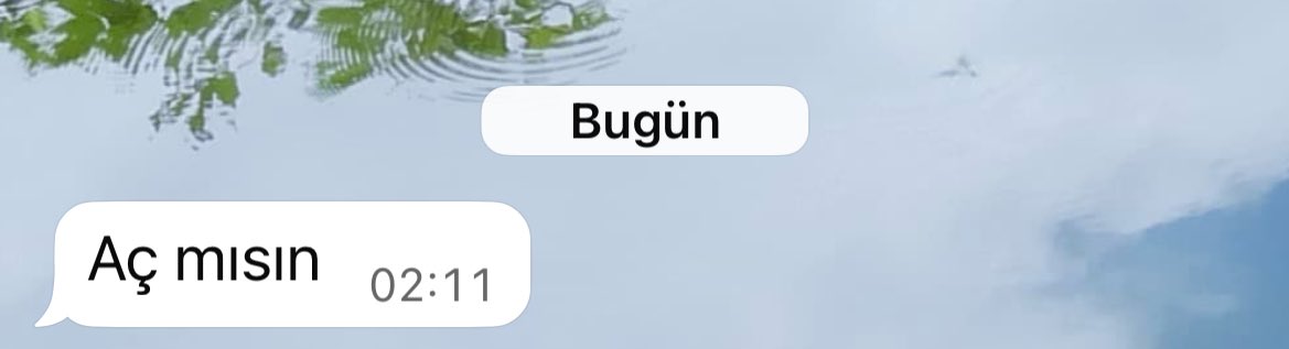 İyi bi de aşık olayım istersen yuh