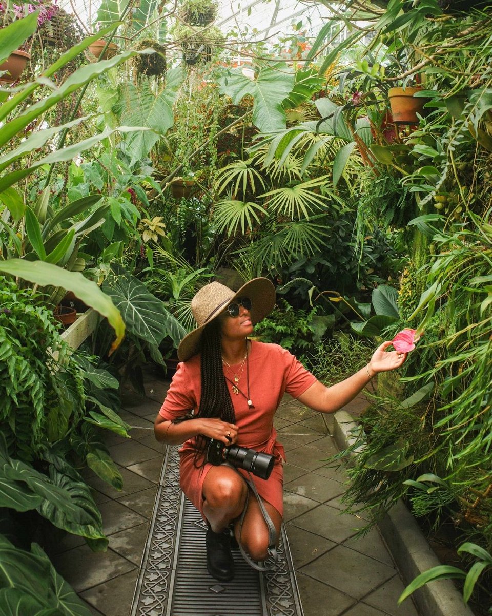 SFConservatory tweet media