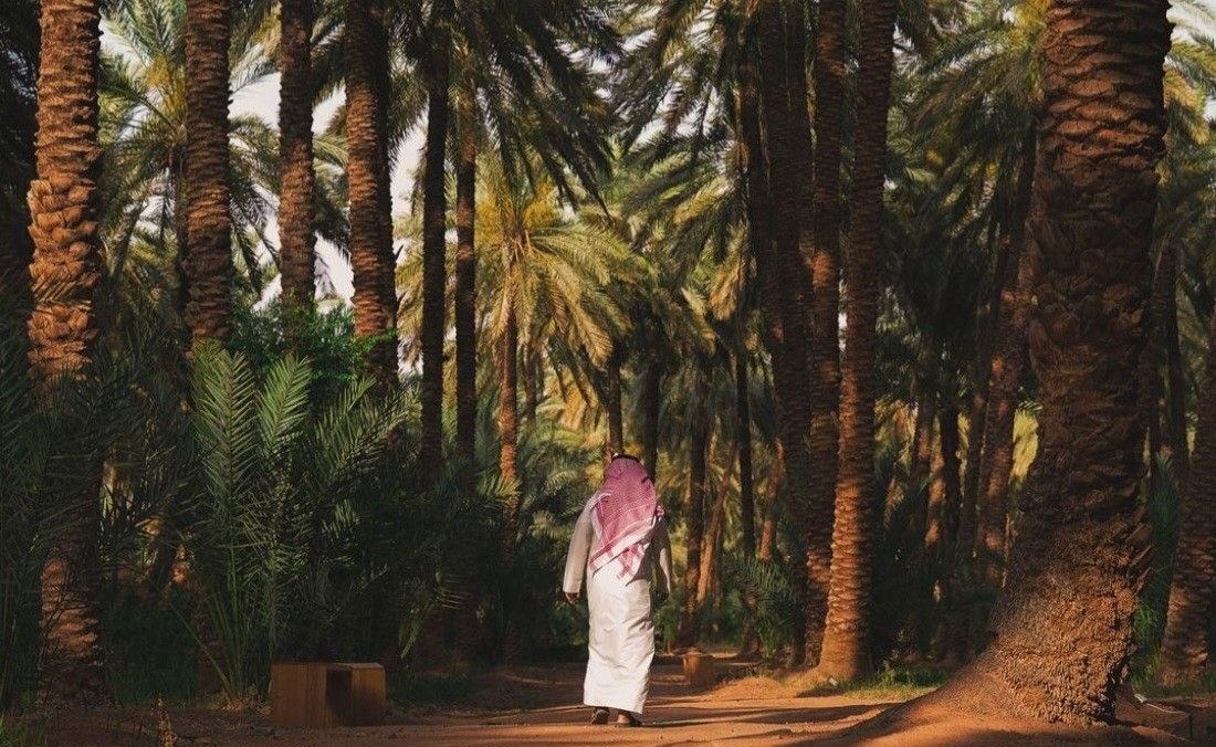 هاجس الصحو tweet media