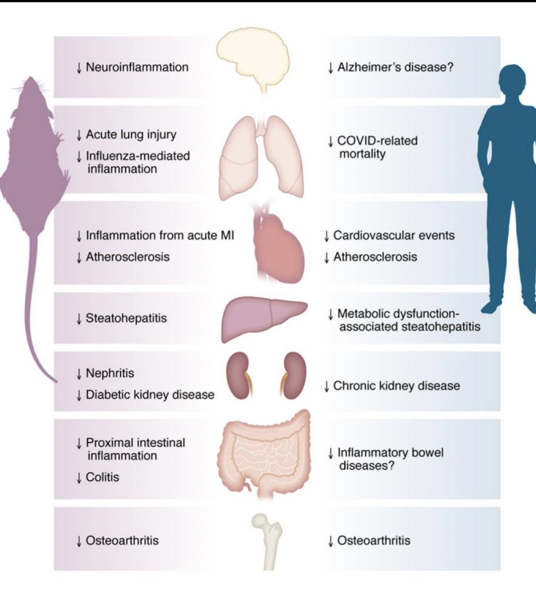 Eric Benchimol tweet media