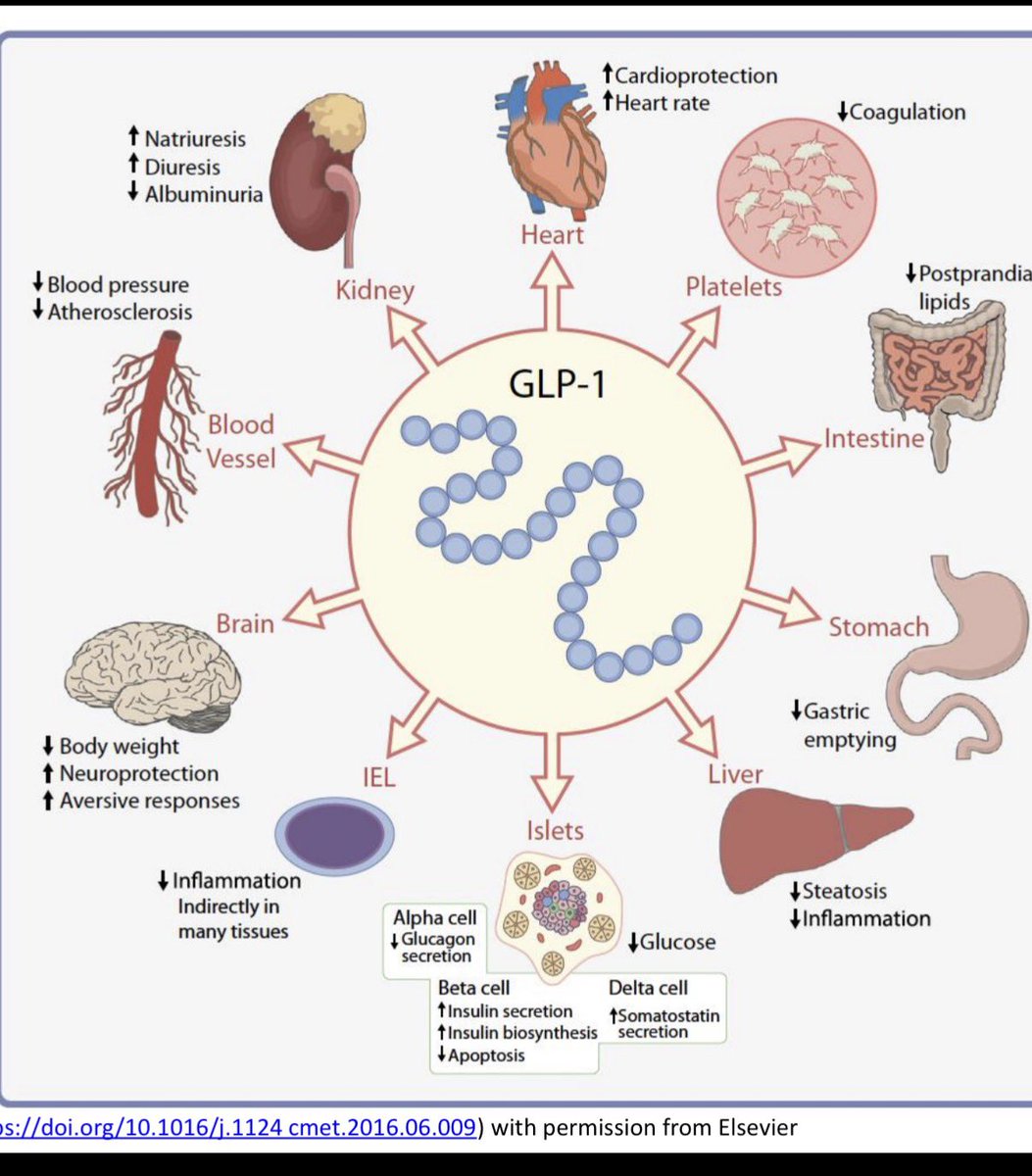 Eric Benchimol tweet media