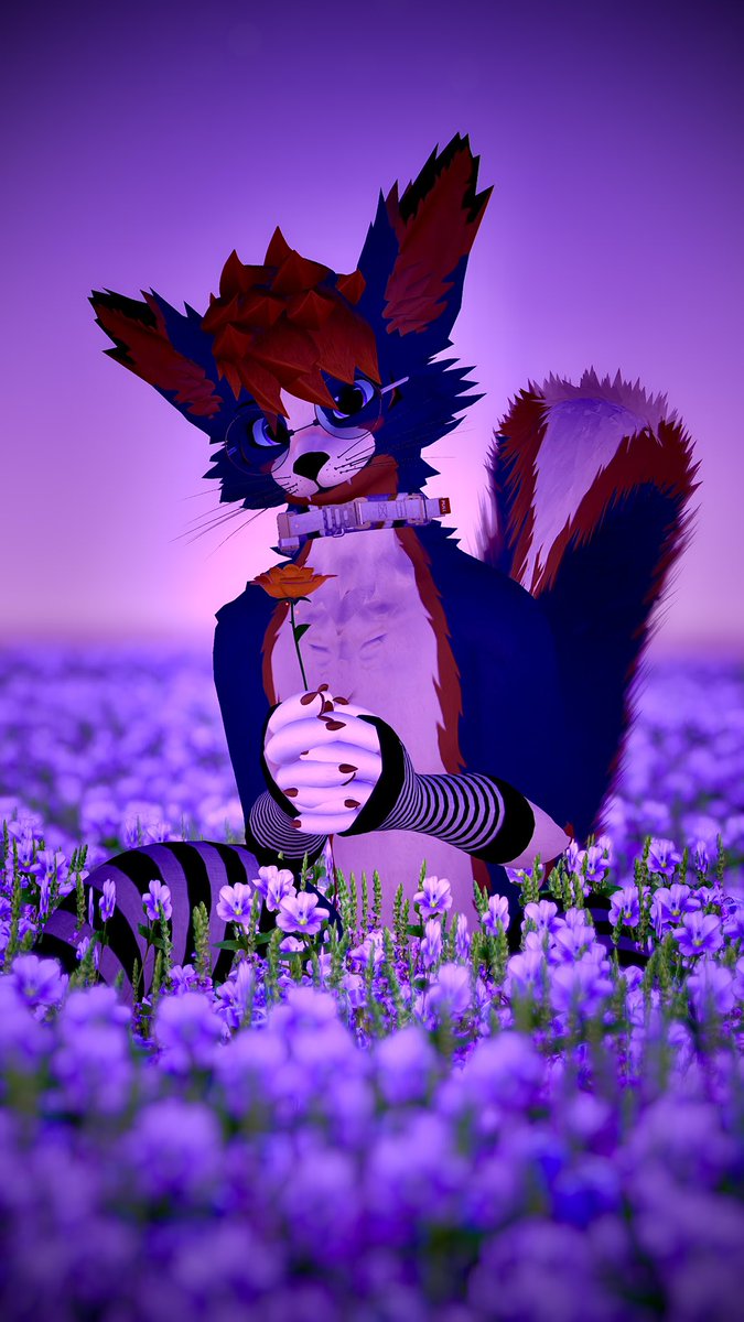 Kairo̷x tweet media