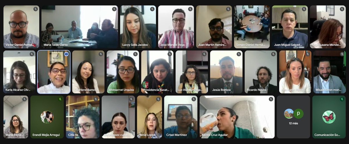 Ombudsperson México tweet media