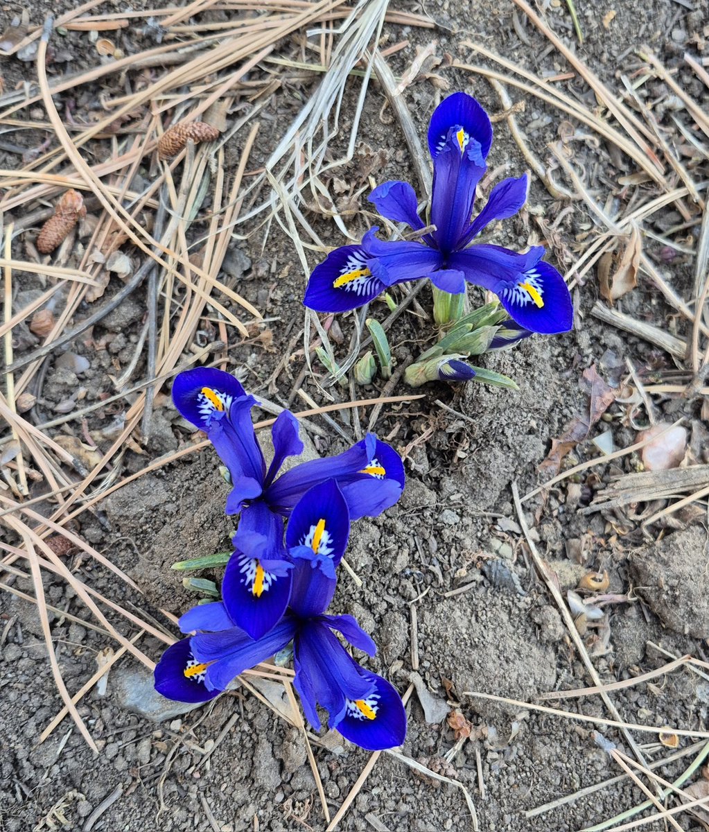 John Meyer tweet media