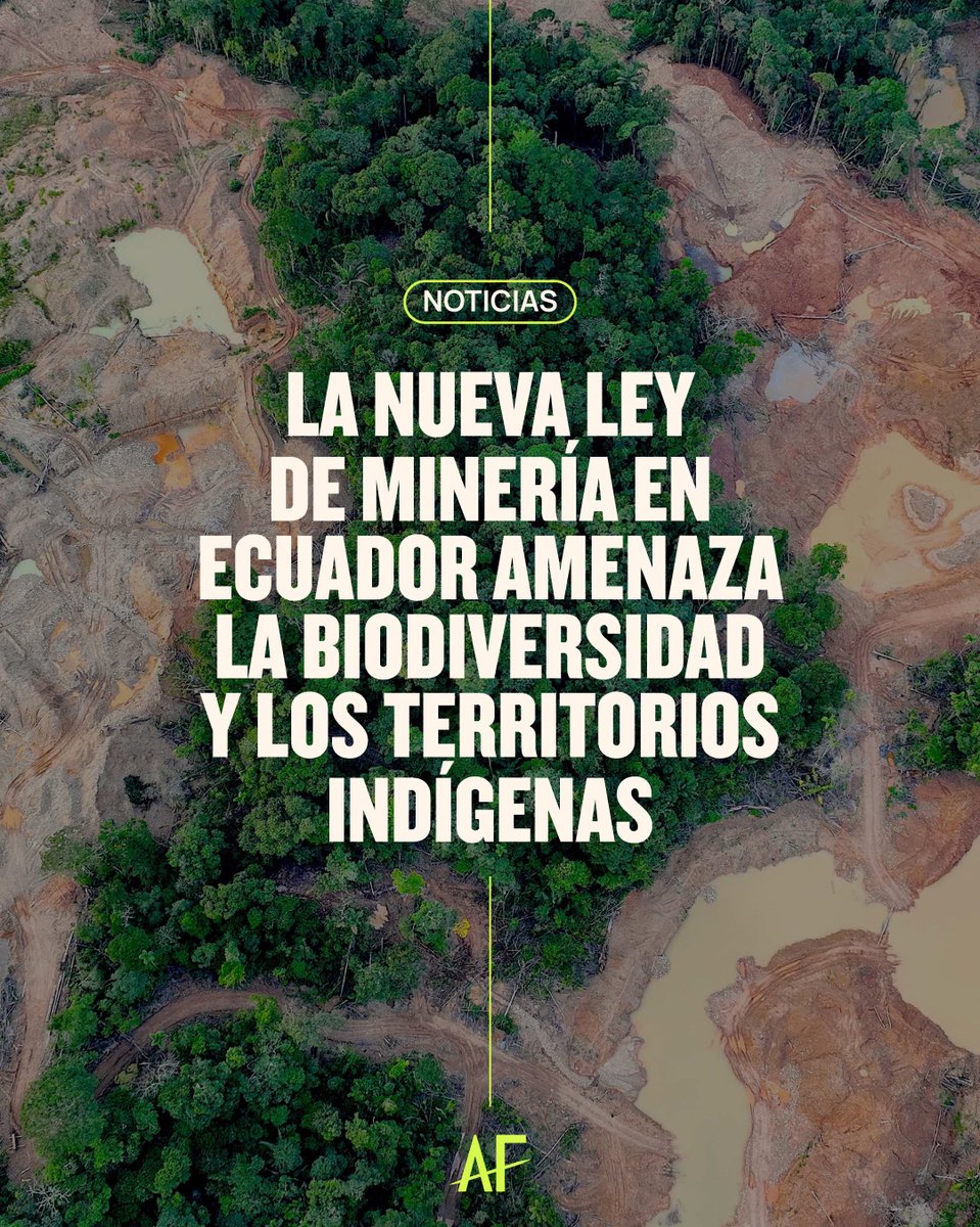 AFrontlines_ES tweet media