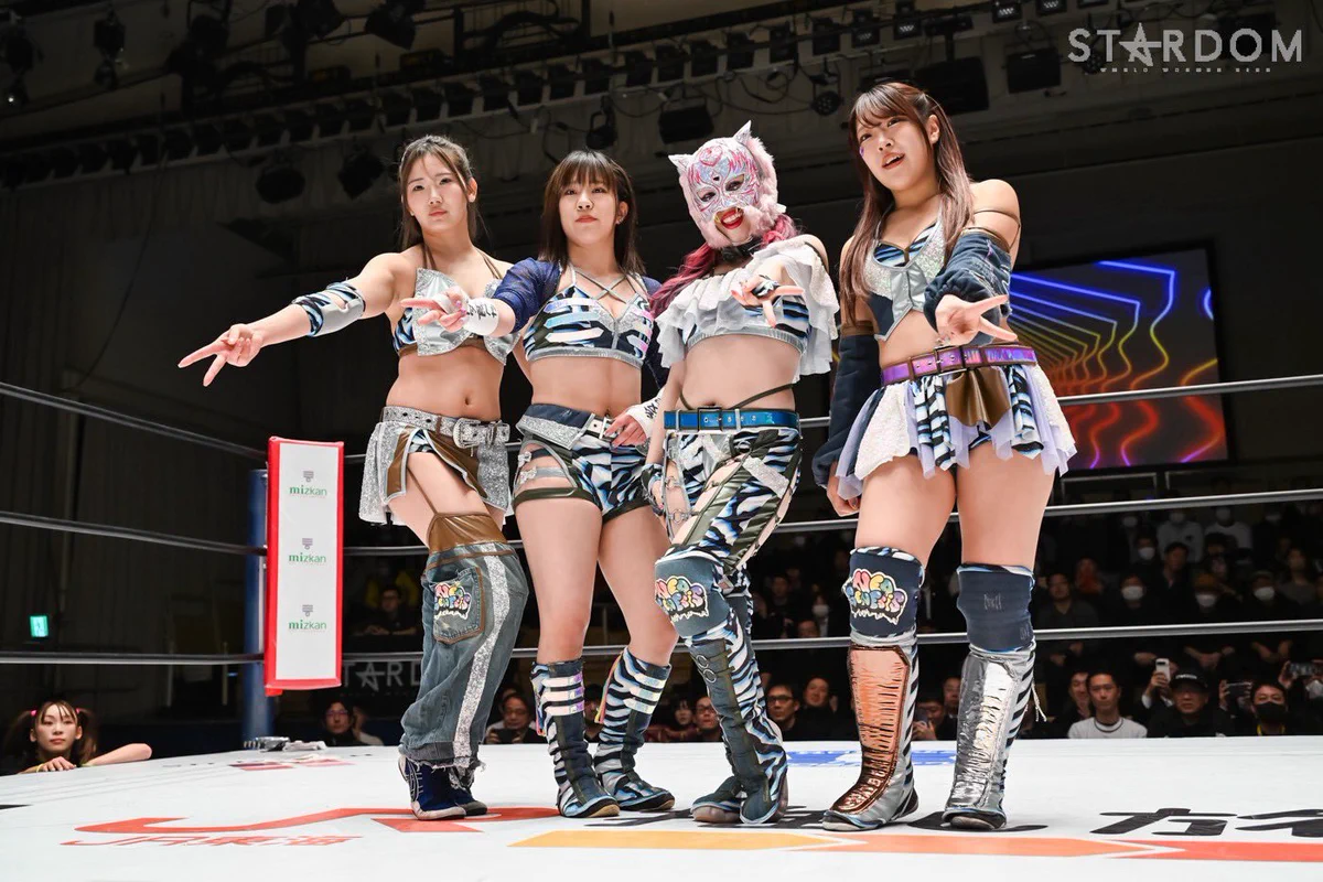スターダム💙スターライト・キッド🐯🤍 on X: 