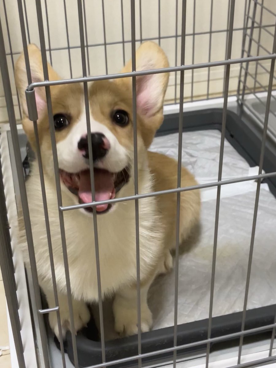 こたパパ@全国100年老舗節約グルメ旅人 (@shinisetabi) / Posts / X