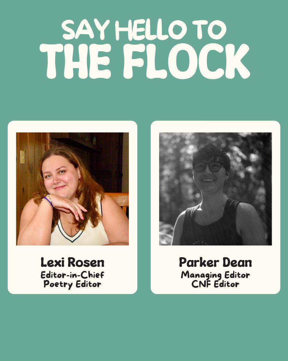 Silly Goose Press tweet media