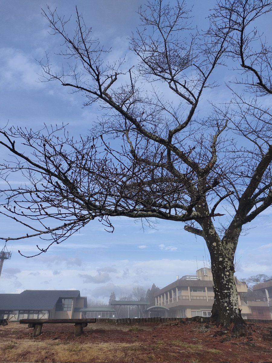 宮城県柴田町観光物産協会 tweet media