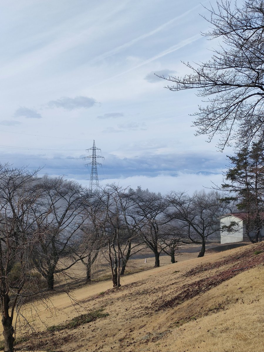 宮城県柴田町観光物産協会 tweet media