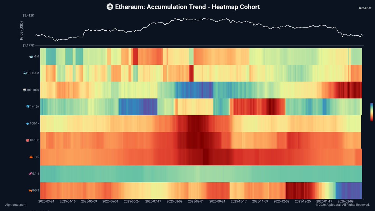 Joao Wedson tweet media