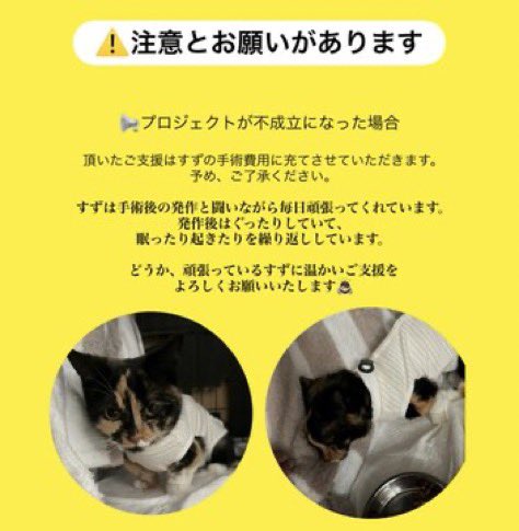 🚨 #拡散希望🚨 #ご協力お願い致します 
🆘門脈体循環シャントと闘っているすずちゃん‼️
🆘1歳5ヶ月の女の子です‼️
🆘クラファン挑戦中‼️
🆘残り2️⃣日となり厳しい状況です‼️ readyfor.jp/projects/167635
🆘どうかすずちゃんにお力をお貸し頂けないでしょうか🙇‍♀️
🆘何卒宜しくお願い致します🙇‍♀️🙇‍♂️