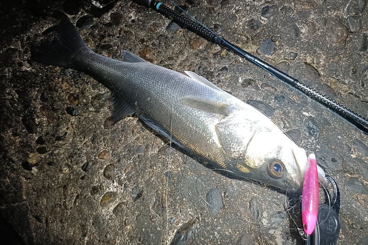 定廣一志 tweet media