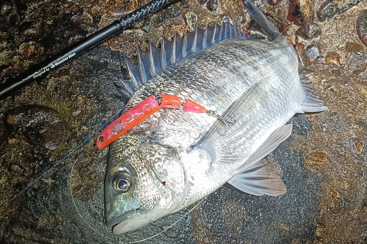 定廣一志 tweet media