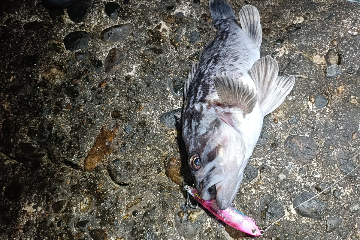 定廣一志 tweet media