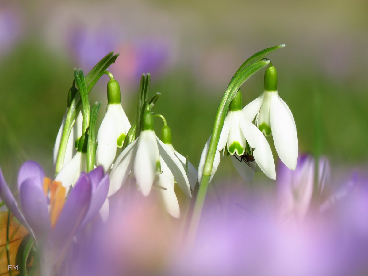 Saw it..like it so I clicked it...

QP  or share your click #FreeFriday