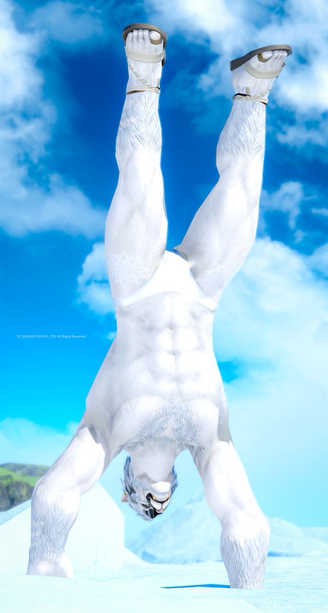 スワルガ(Yojimbo🜸)👦🦁FF14垢 tweet media