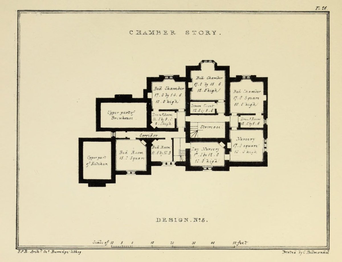 RidgeRunner 🇺🇸 tweet media