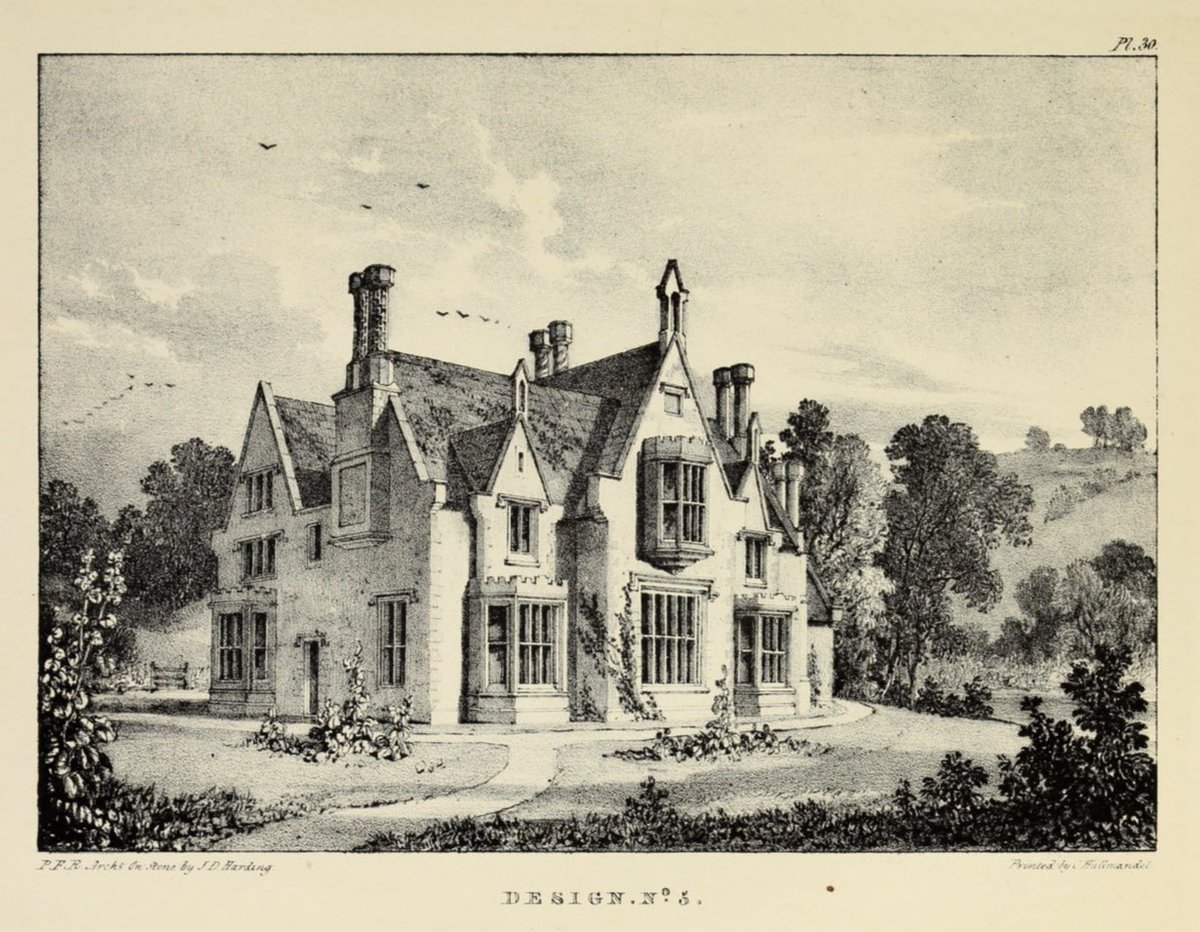 RidgeRunner 🇺🇸 tweet media