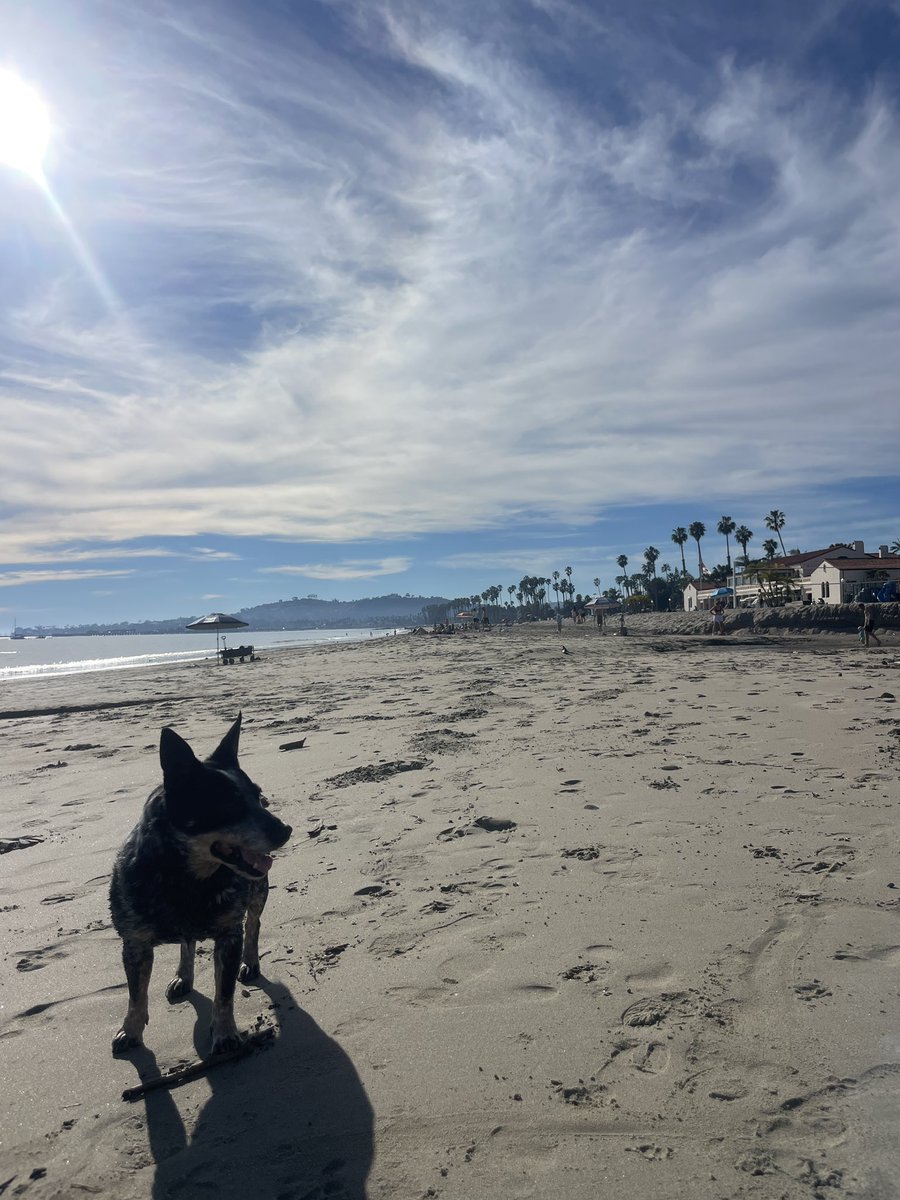 Corey McComb tweet media