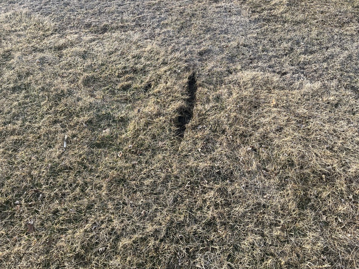 DSHS Baseball tweet media