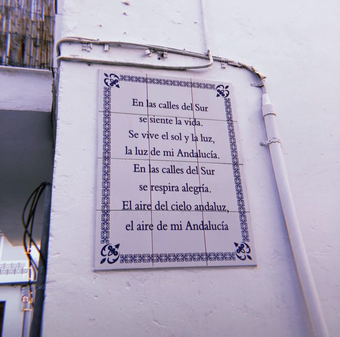 Marta ✯ tweet media