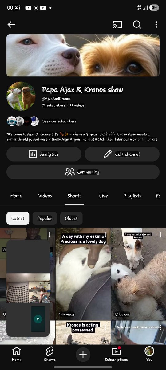 only1mxp's tweet photo. Pls follow my dog page on YouTube shout out to all dog lovers 
World wide 
https://t.co/Hkgby4Ytga https://t.co/luIGVBfxLa