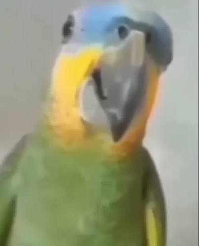 Romy 🪐 (@romy_arths) on Twitter photo 