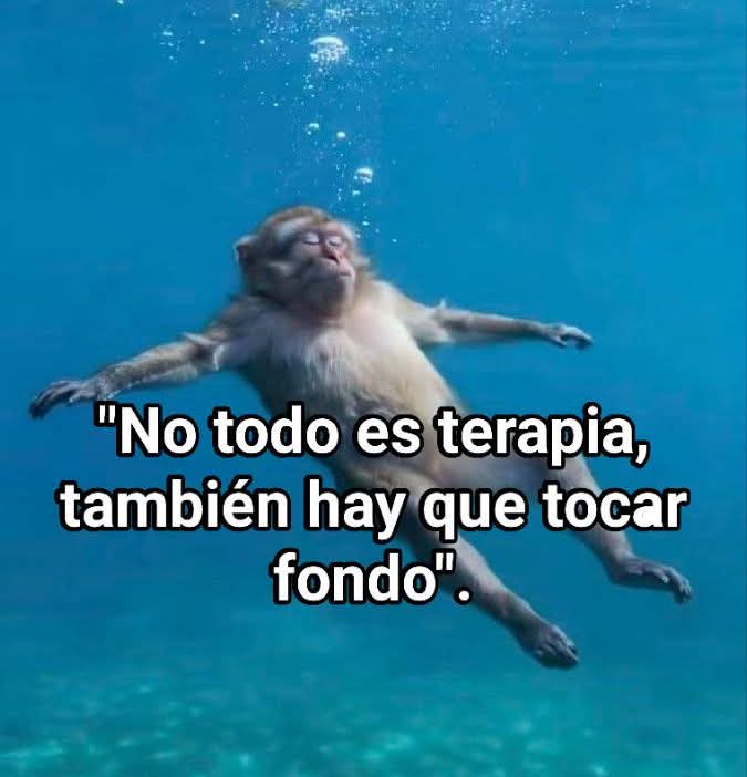 Nasty Poet (@nxstypxet) on Twitter photo 