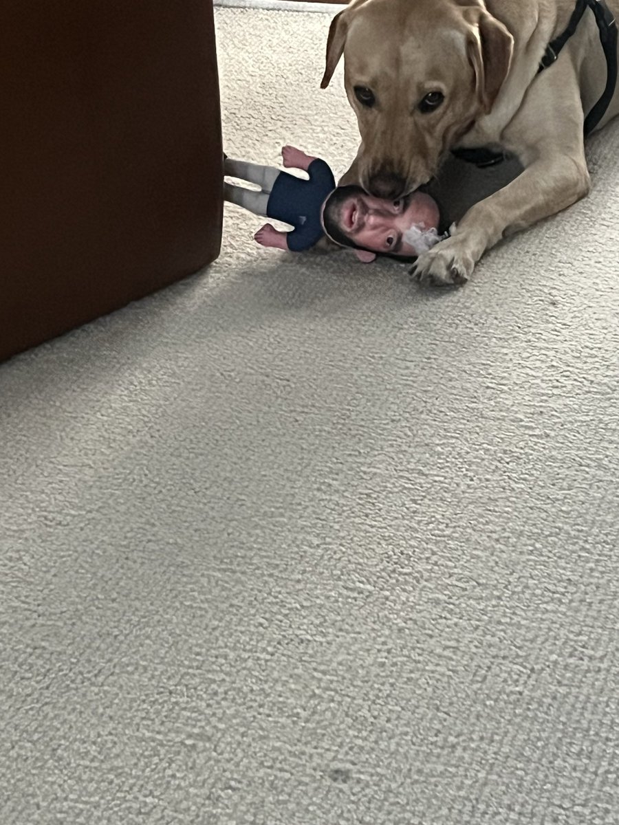 gt28's tweet photo. Hank lost his brains @BarstoolBigCat https://t.co/TU2Sz7N4CV