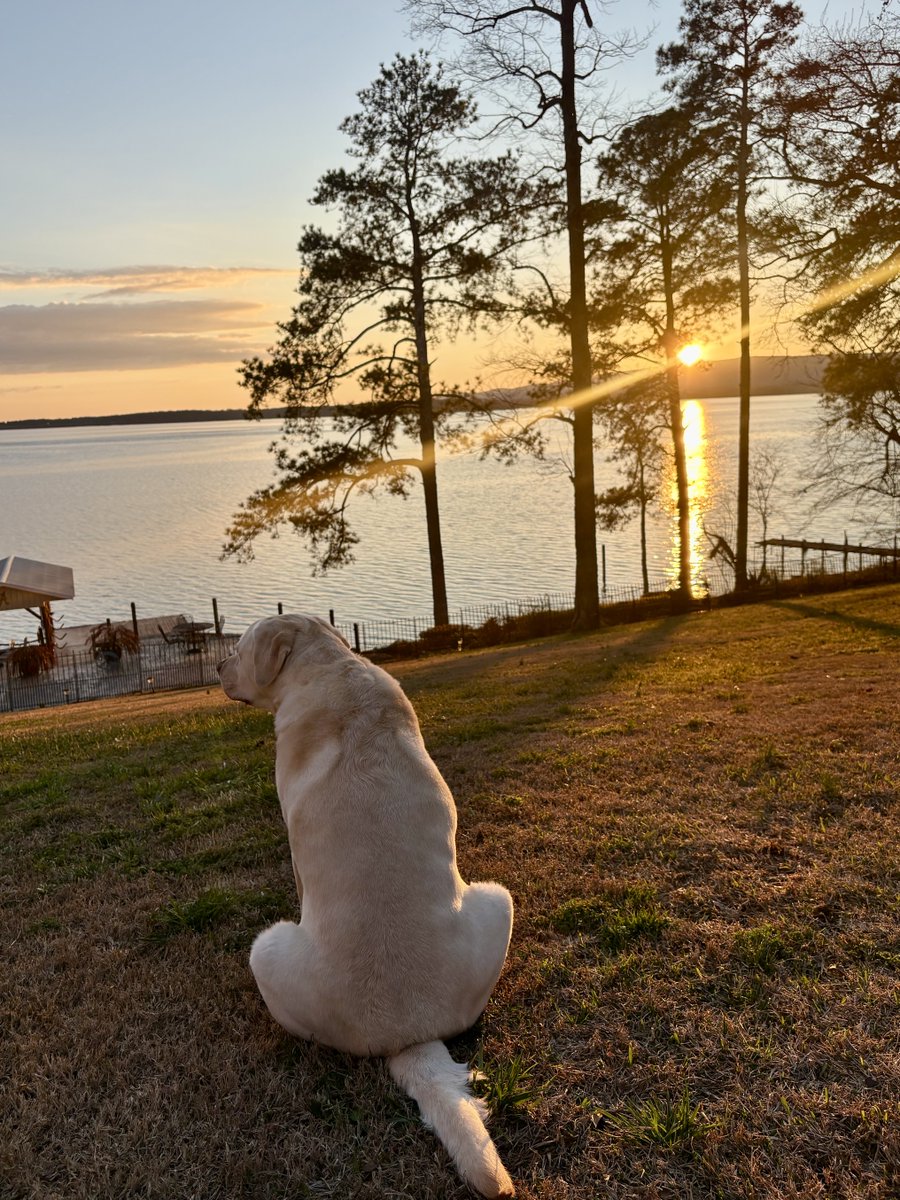 ⁦<a href="/spann/">James Spann</a>⁩ Weiss Lake sunset